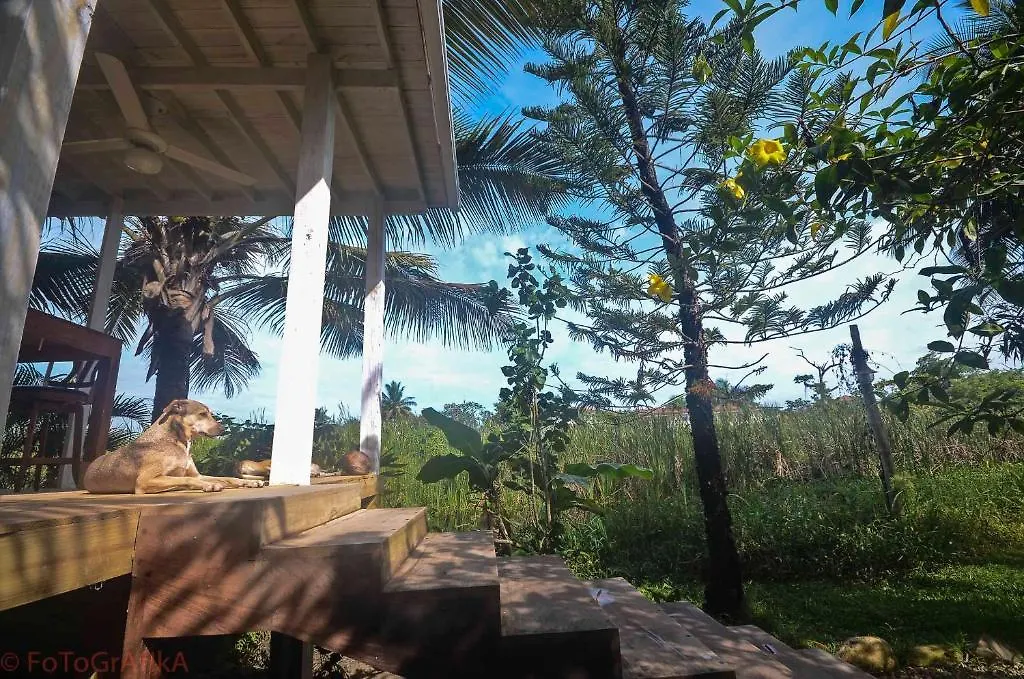 ***  Cabarete Surf Camp Hotel Dominican Republic