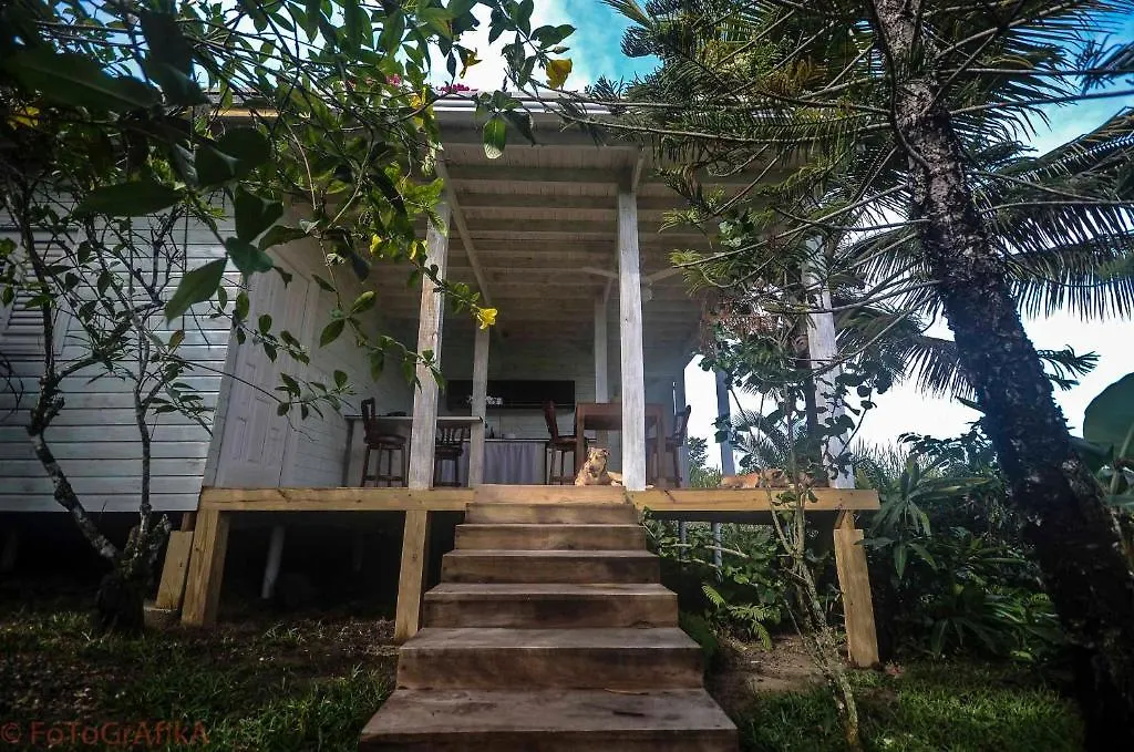 Cabarete Surf Camp Hotel