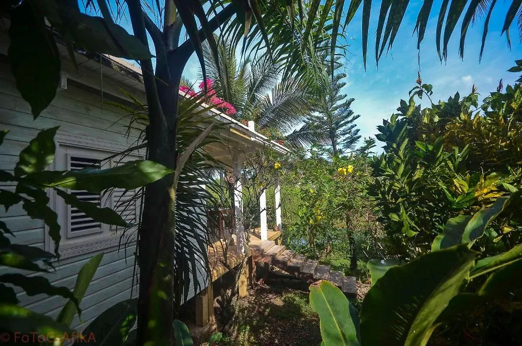 Cabarete Surf Camp Hotel