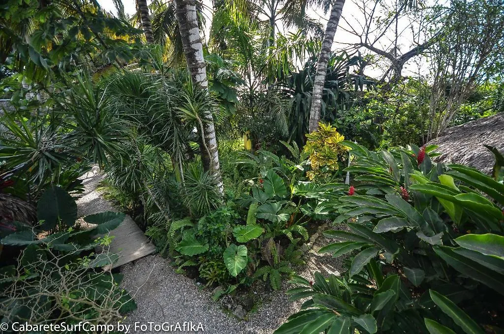Cabarete Surf Camp Hotel