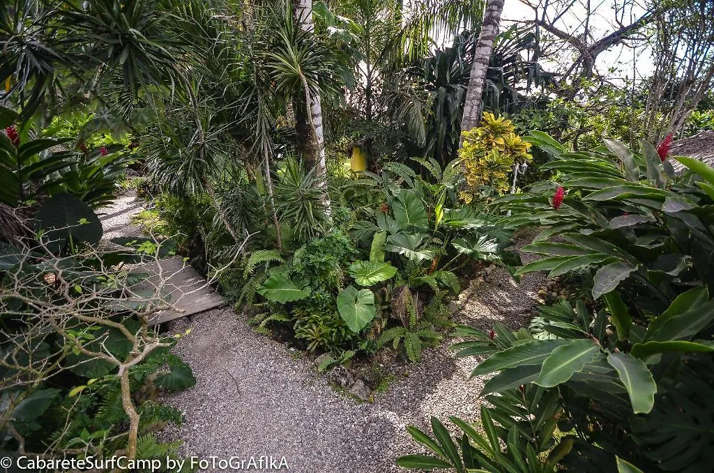 Cabarete Surf Camp Hotel