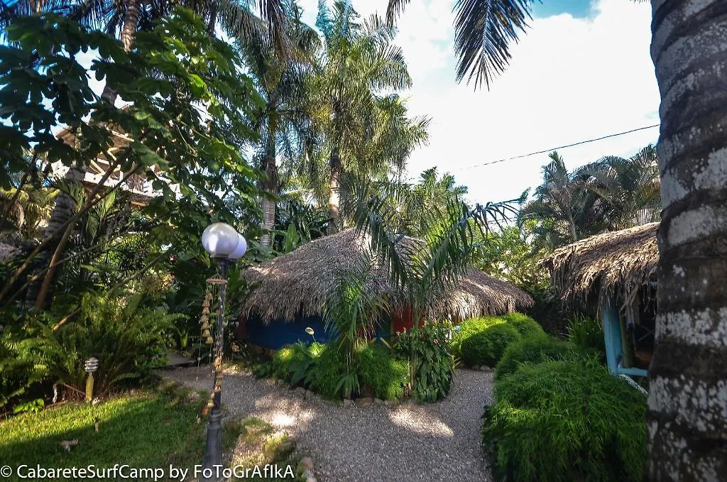 Cabarete Surf Camp Hotel Dominican Republic