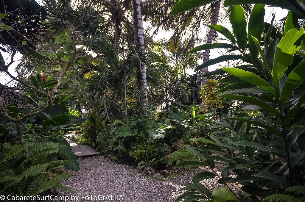 Cabarete Surf Camp Hotel