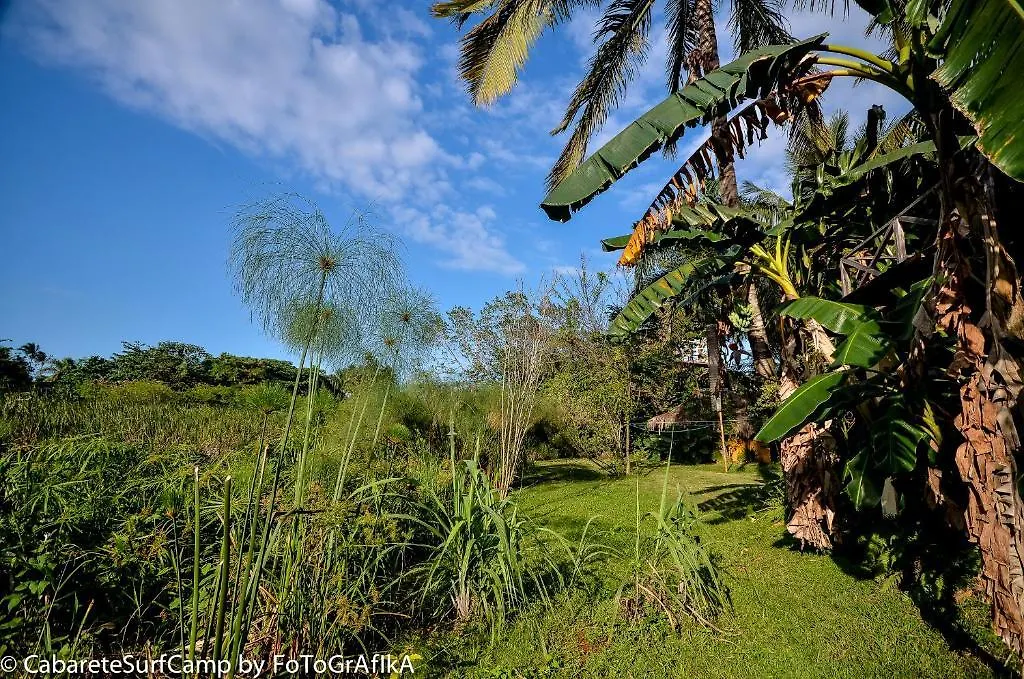 Cabarete Surf Camp Hotel