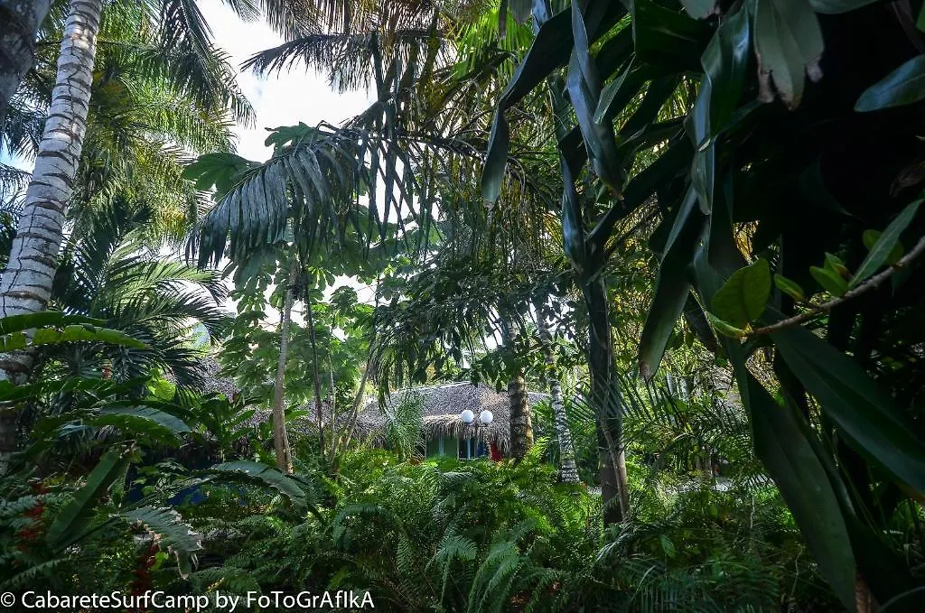 Cabarete Surf Camp Hotel 3*,