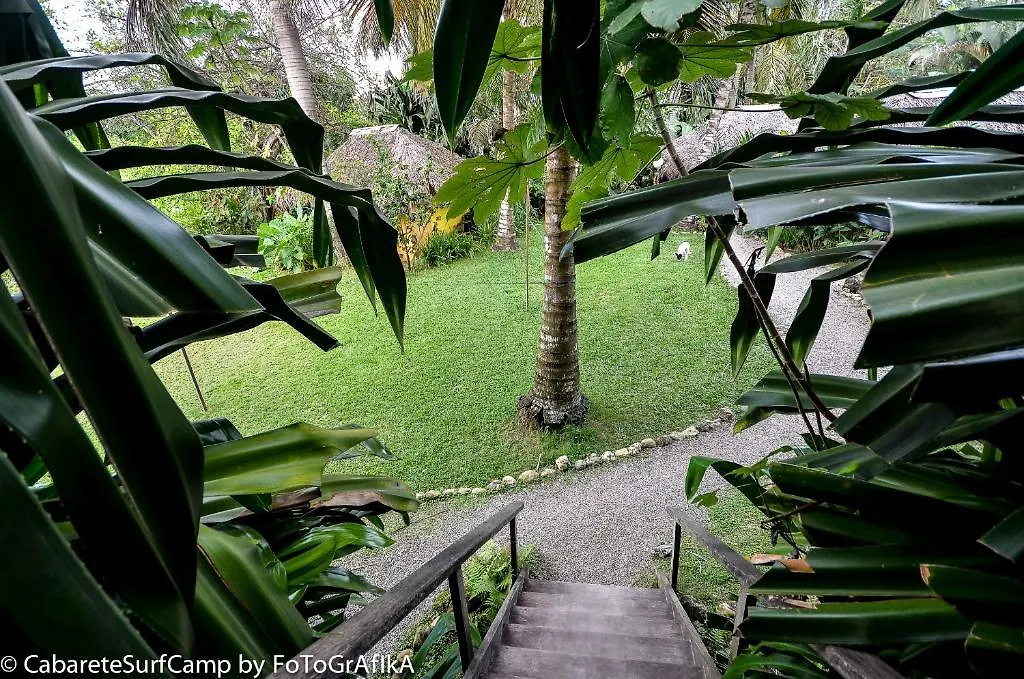 Cabarete Surf Camp Hotel