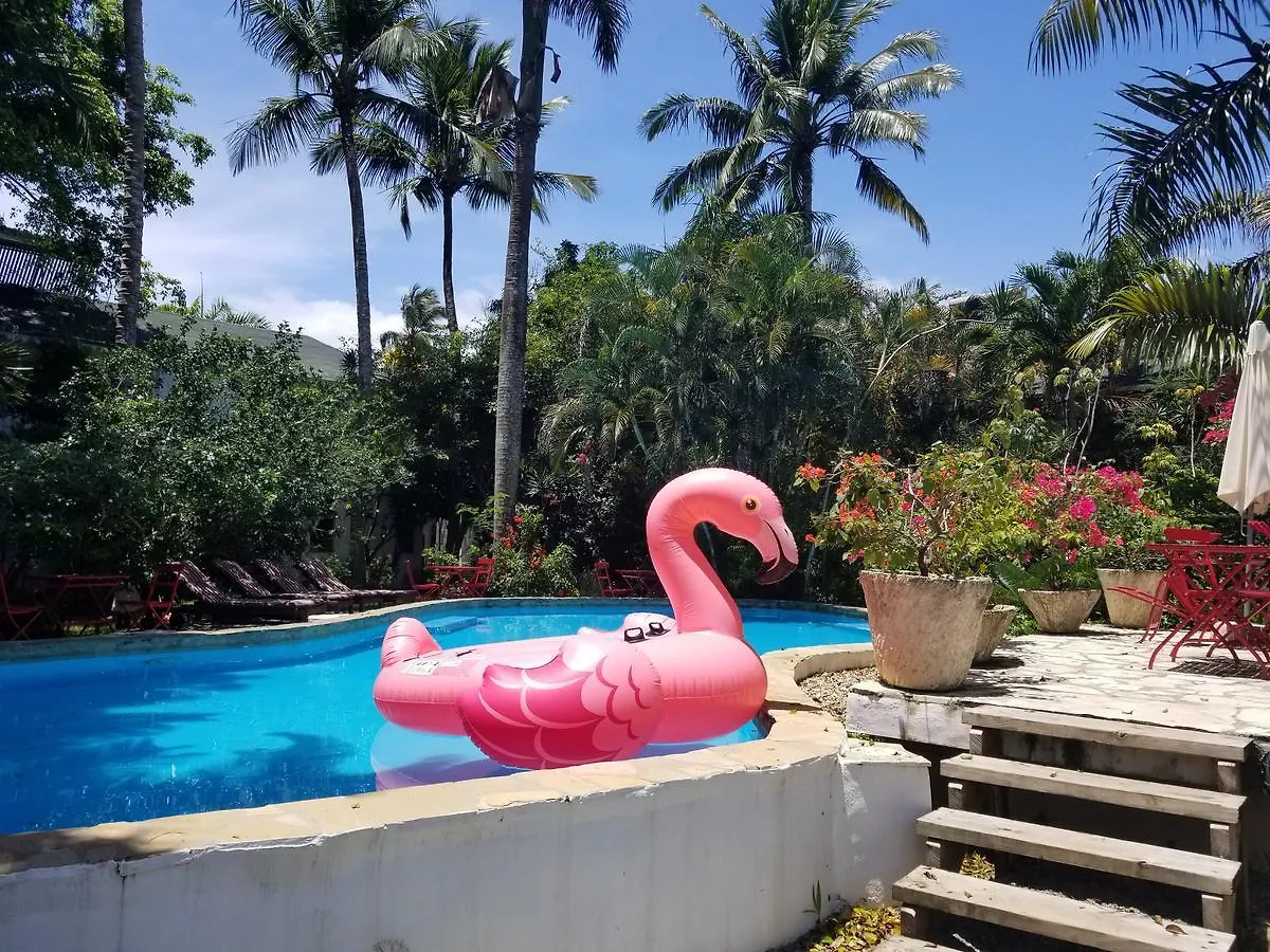 Cabarete Surf Camp Hotel Dominican Republic