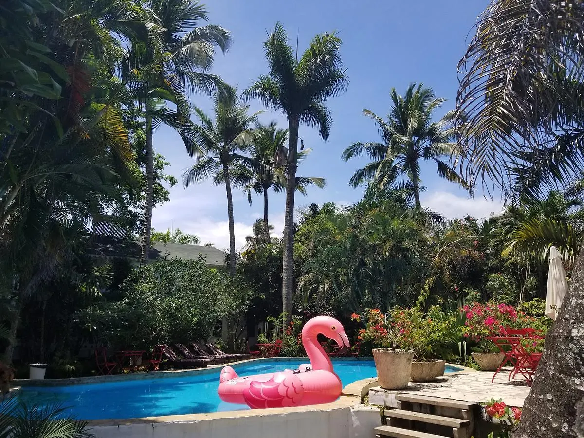Cabarete Surf Camp contacts