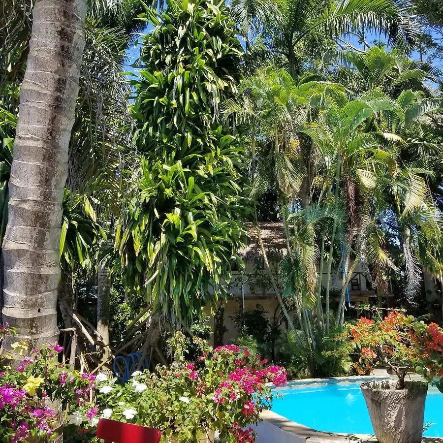 Cabarete Surf Camp Hotel