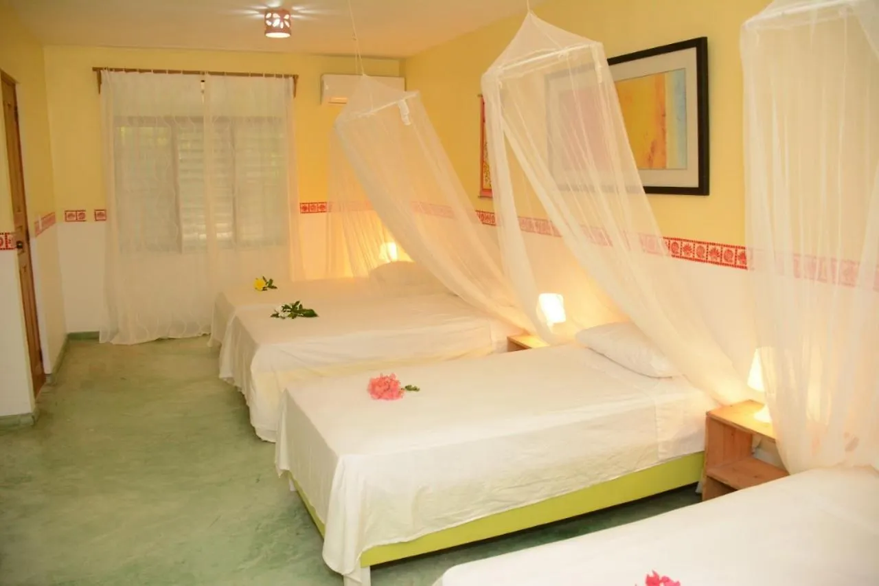 Cabarete Surf Camp Hotel