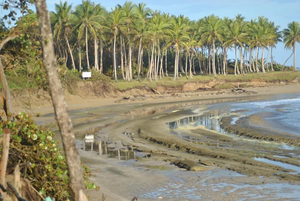 ホテル ホテルCabarete Surf Camp