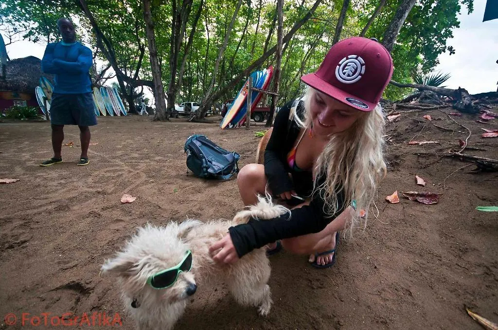 ホテルCabarete Surf Camp 3*, キャバレテ ドミニカ共和国